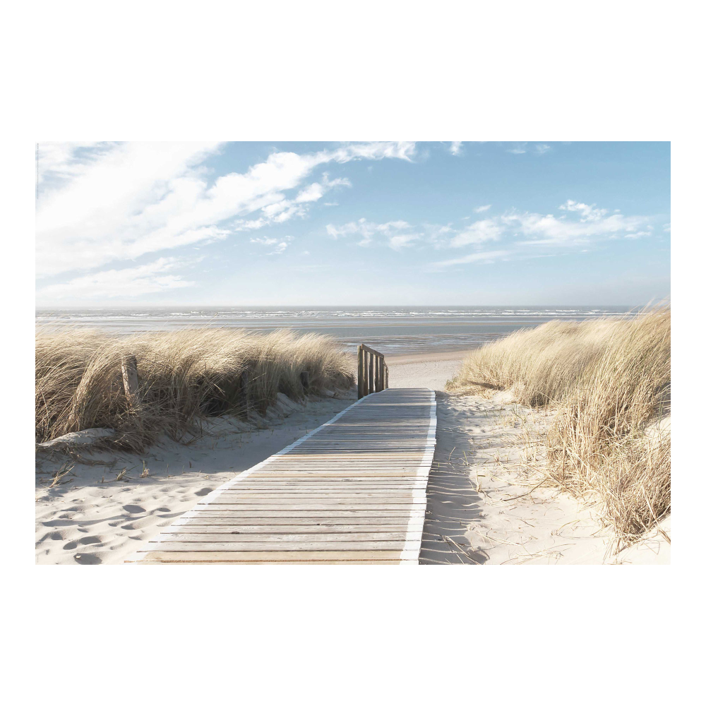 Bild Weg durch die Dünen