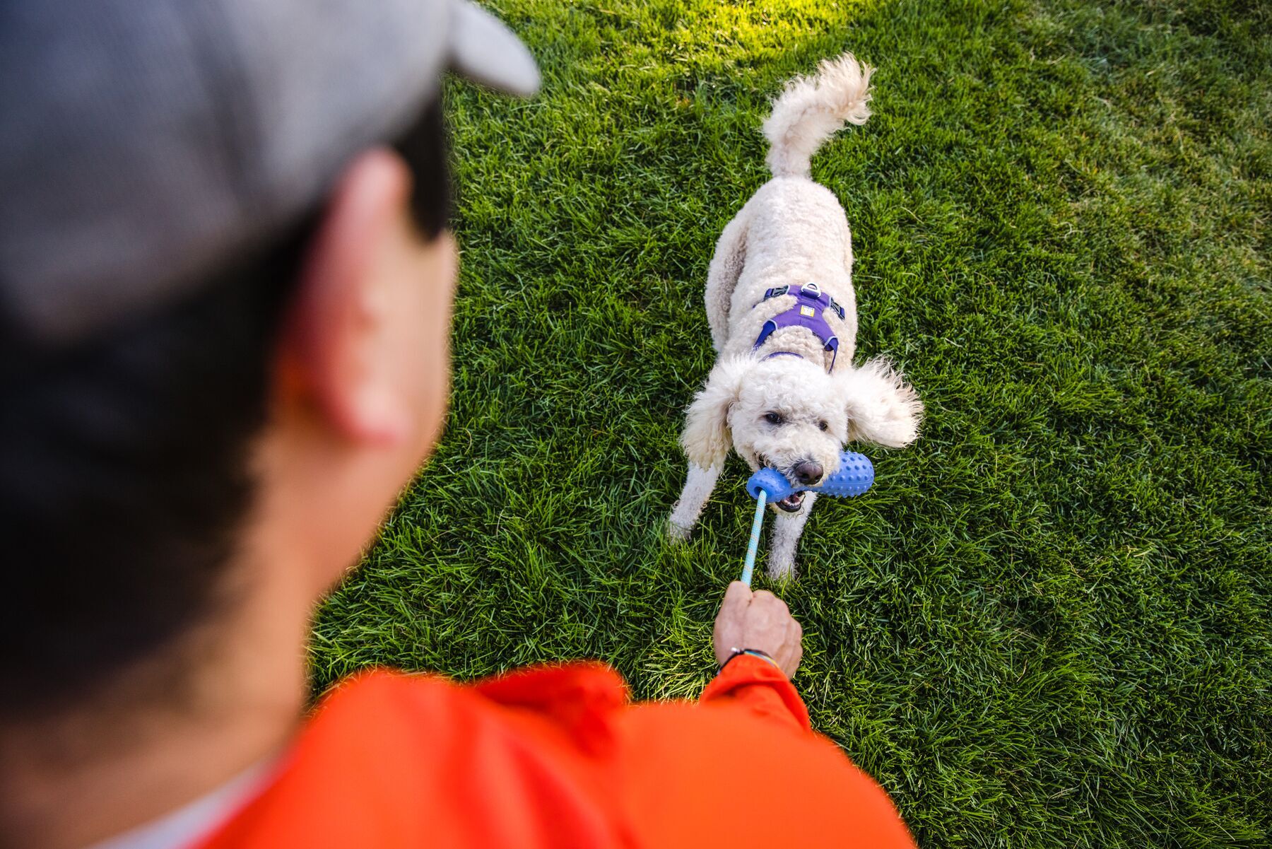 Ruffwear Frisbees & Wurfspielzeug Ruffwear Gourdo™ Spielzeug S violett