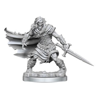 D&D Frameworks: Wight