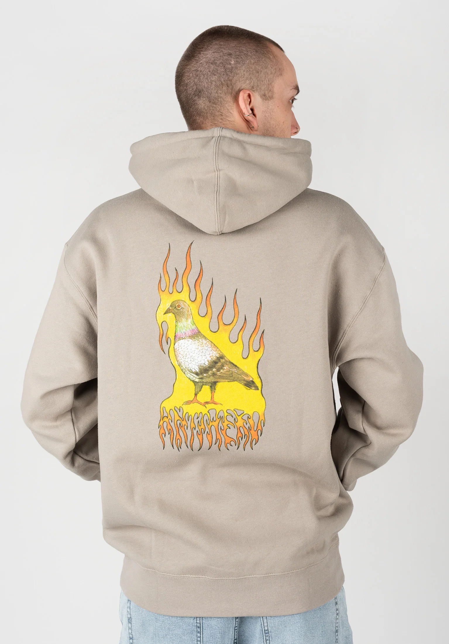 Flame Pigeon