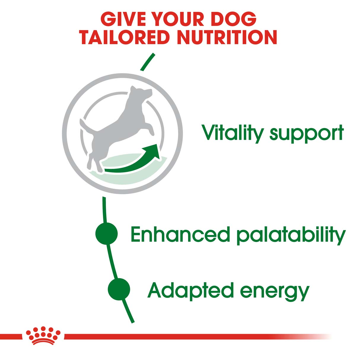 Royal Canin Mini Adult 8+ 2x8kg günstig kaufen bei ZooRoyal