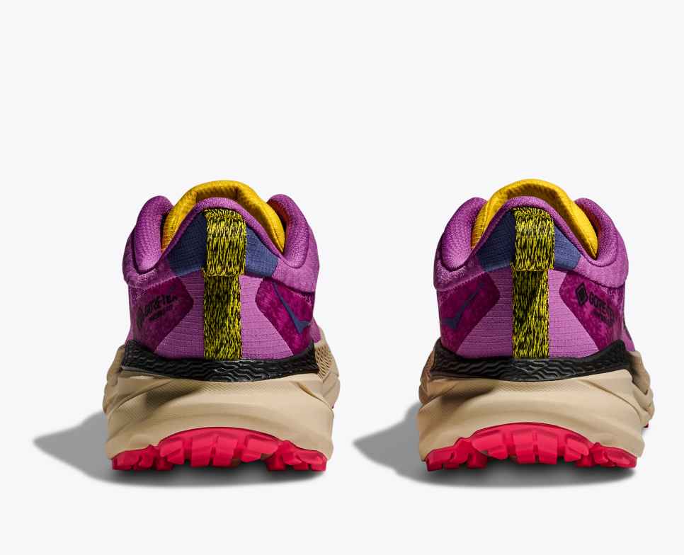 Challenger 7 GORE-TEX Superbloom / Oatmeal