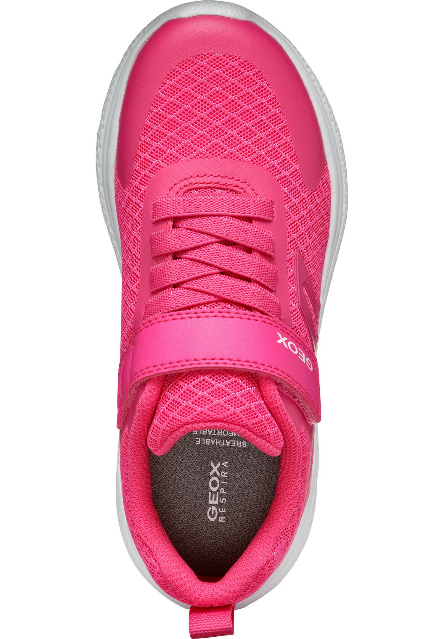 Geox SPRINTYE - Zapatillas bajas
