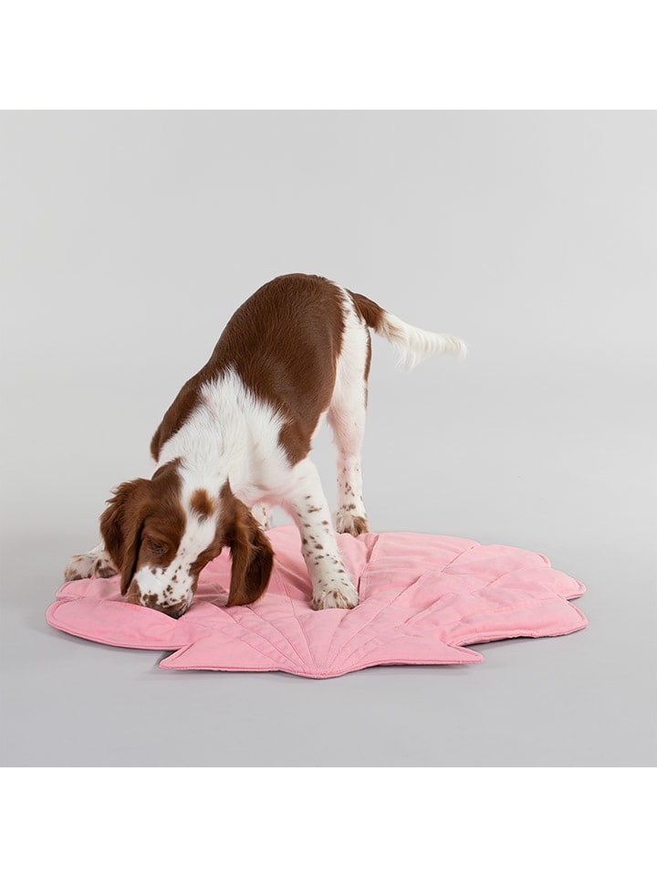 Paikka Hunde-Spielmatte 