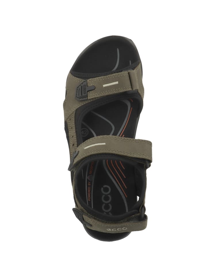 Ecco Sandale Offroad in dunkelgruen günstig kaufen