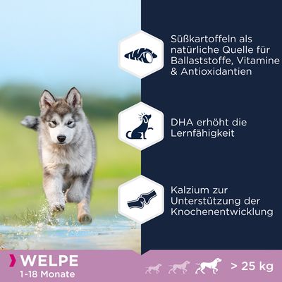 Eukanuba Grain Free Puppy Large Breed Lamm