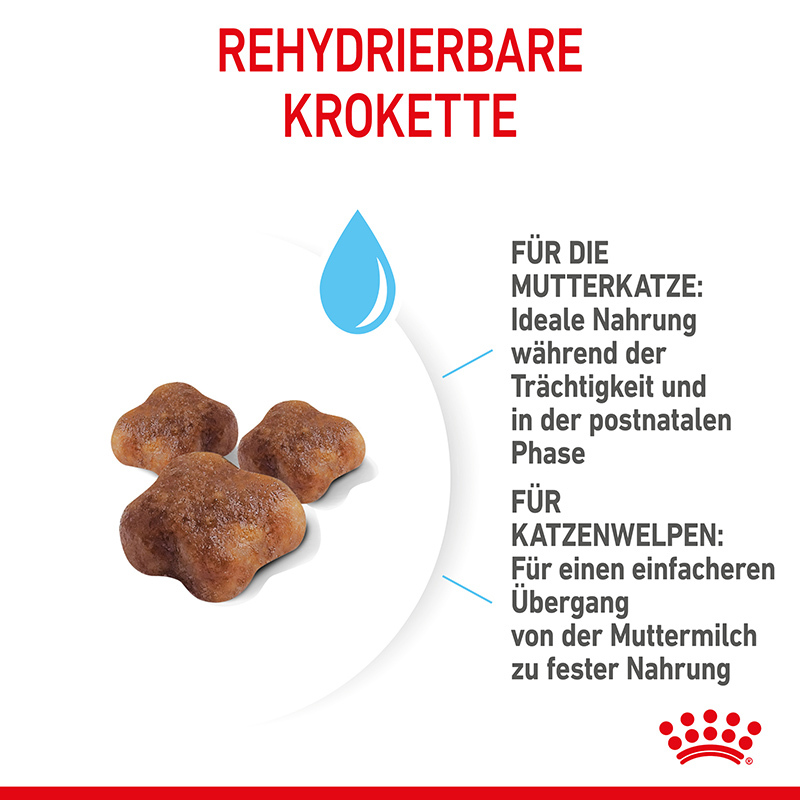 ROYAL CANIN Trockenfutter ROYAL CANIN Mother & Babycat 4 kg