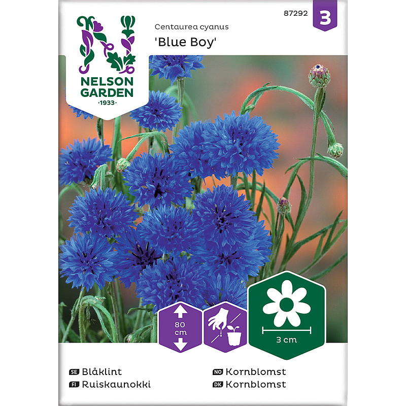Nelson garden Frø Kornblomst Blue Boy, blå
