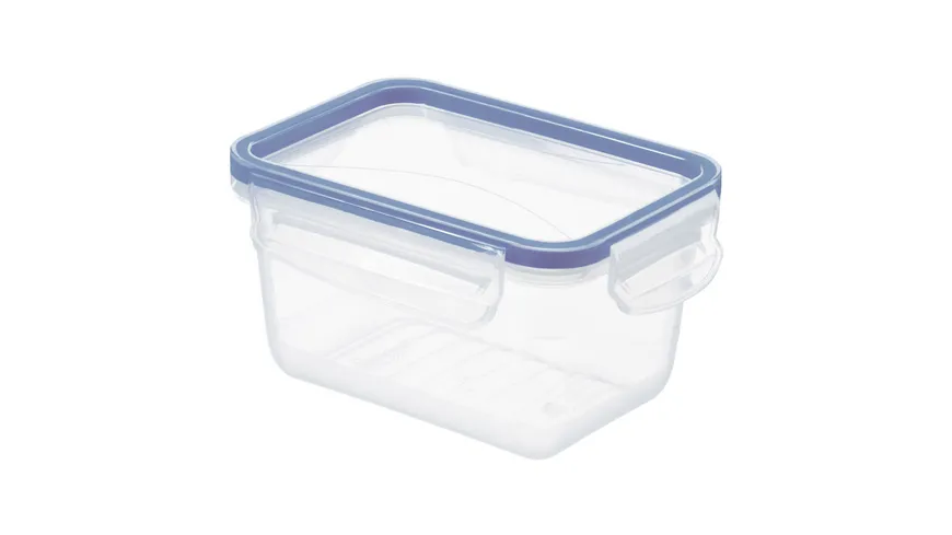 rotho Kühlschrankdose 0.75l CLIC & LOCK horizon blue