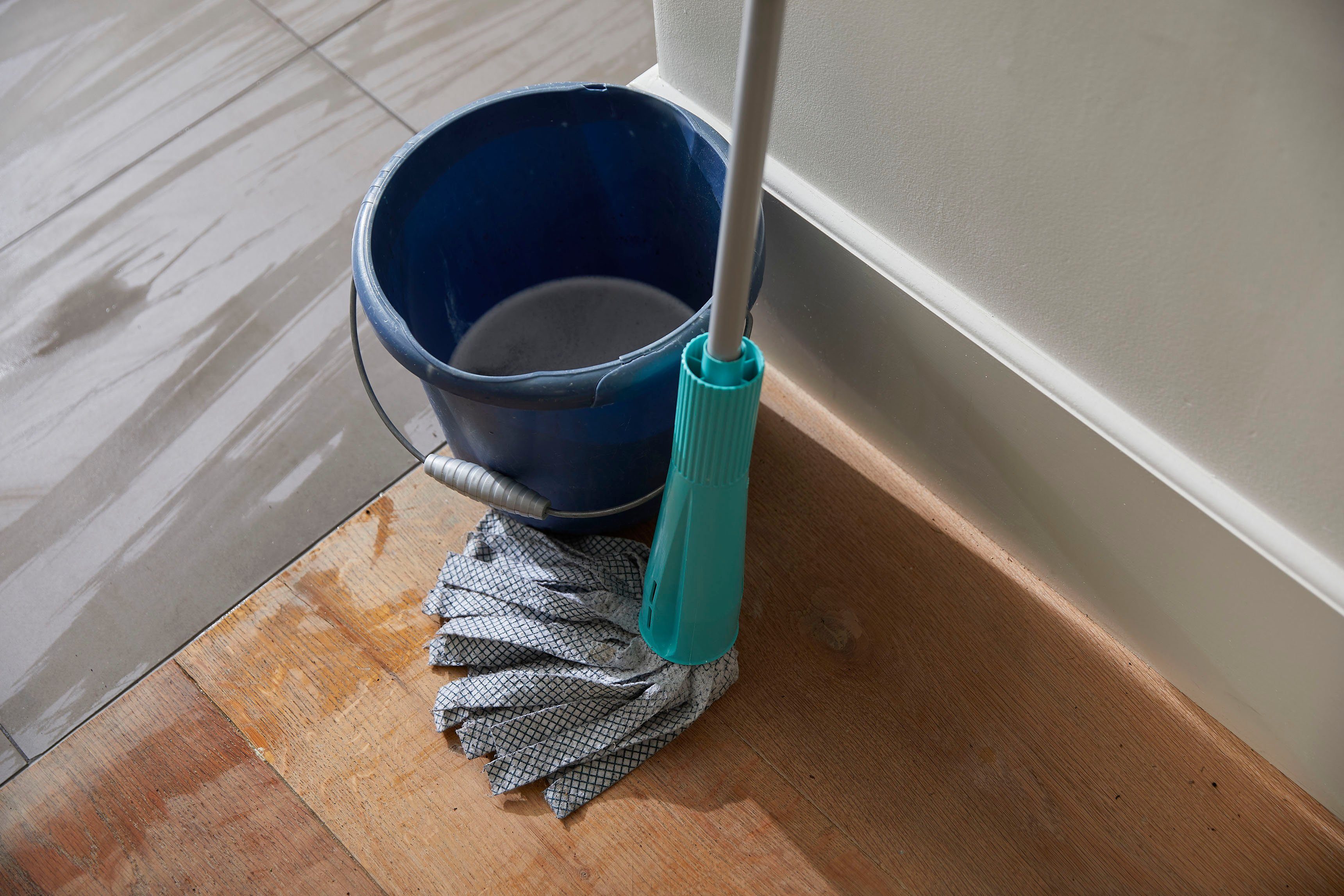 Bissell Nass-Trocken-Sauger CrossWave C6, 255 W, beutellos, cordless