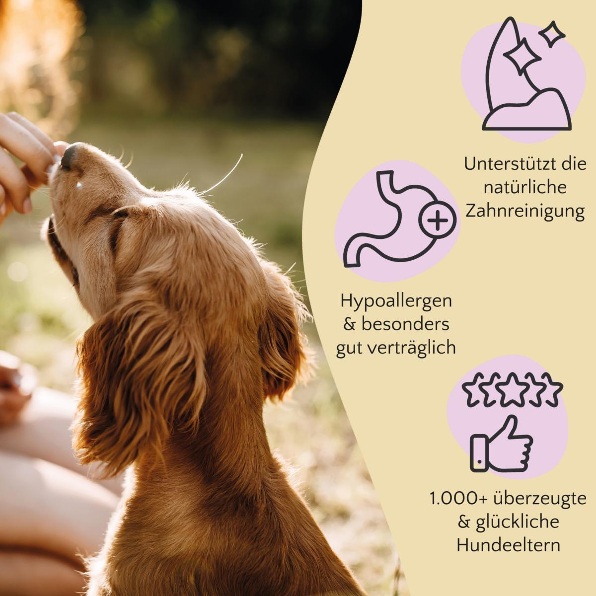 FAVLY Petfood Snacks FAVLY Petfood Kaninchenohren mit Fell 360 g