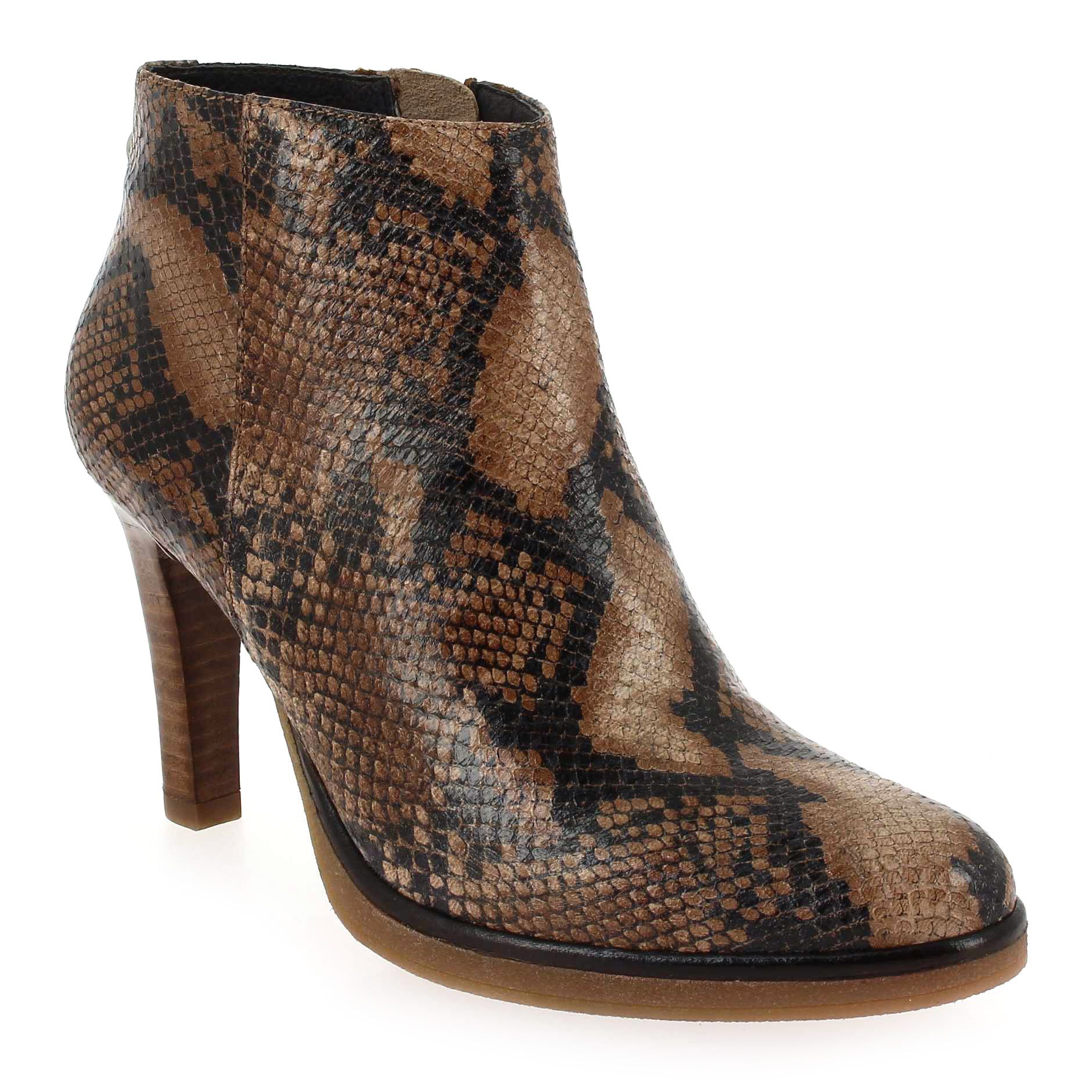 Janie Philip  MAX - Camel Python