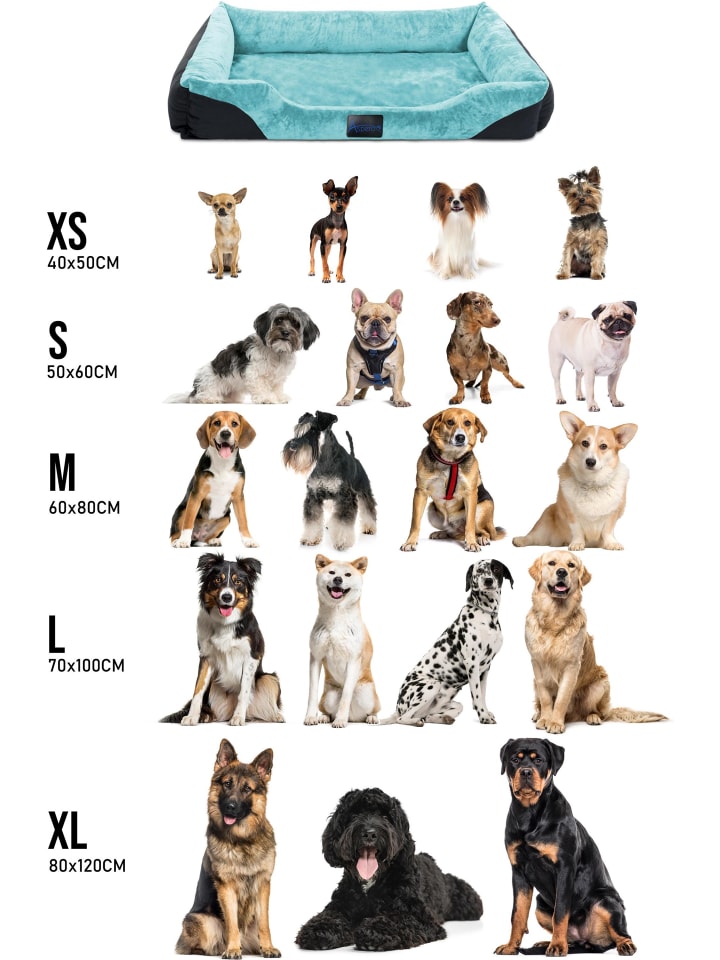 Aspero Hundebett Hanko in Blau günstig kaufen