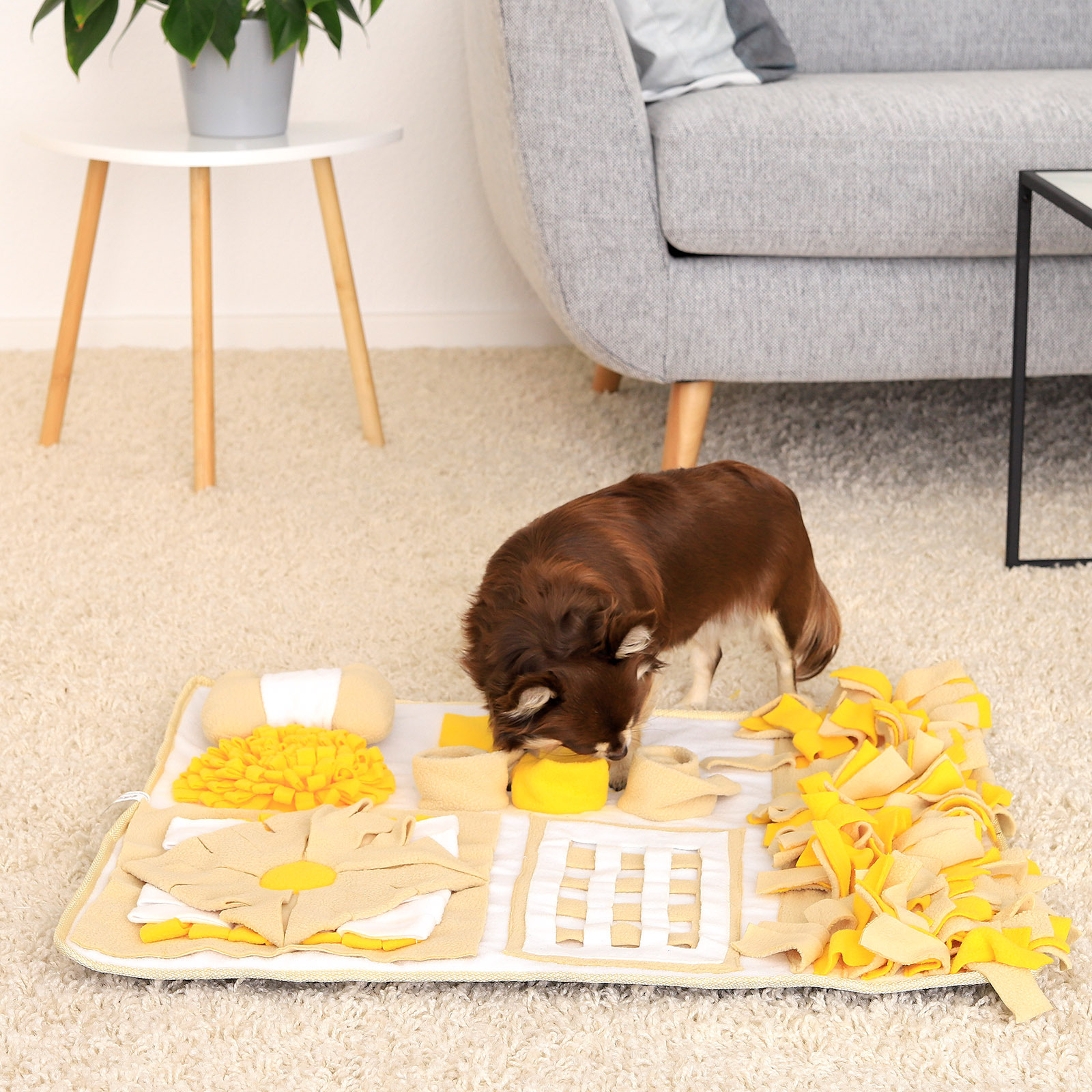 Lionto Intelligenzspielzeug Lionto Schnüffelteppich für Hunde braun/ gelb
