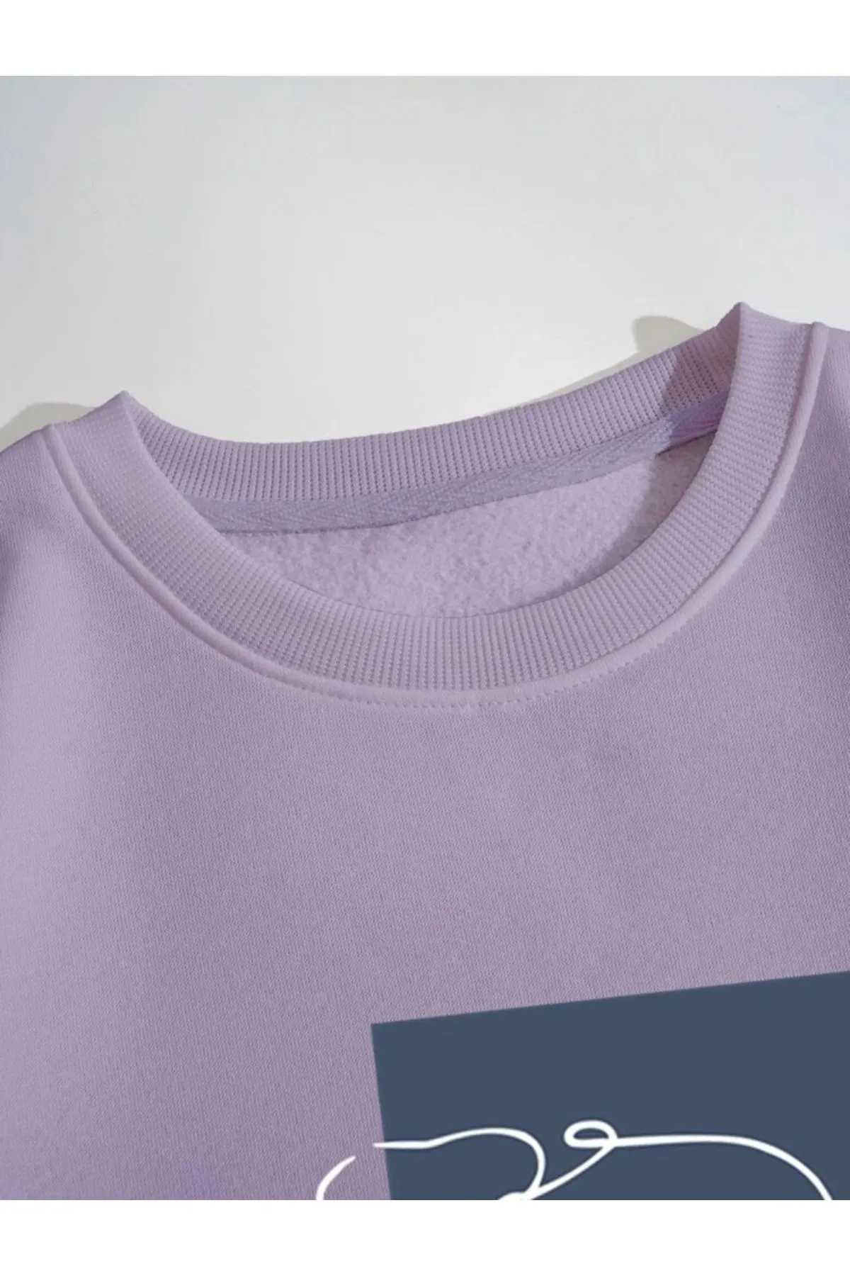 MOONBULL  Sweatshirt - Lila - Regular Fit