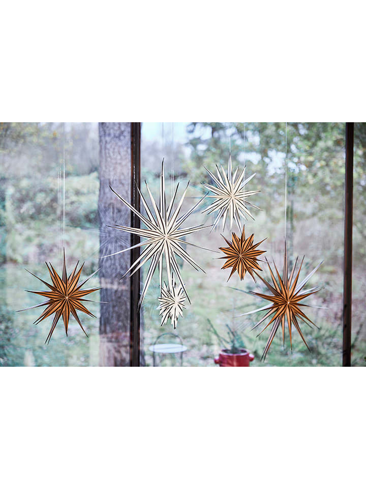 OYOY living design Weihnachtsstern in Braun - Ø 60 cm günstig kaufen onesize