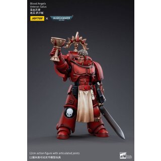 Warhammer 40k Actionfigur: Blood Angels Veteran Salus