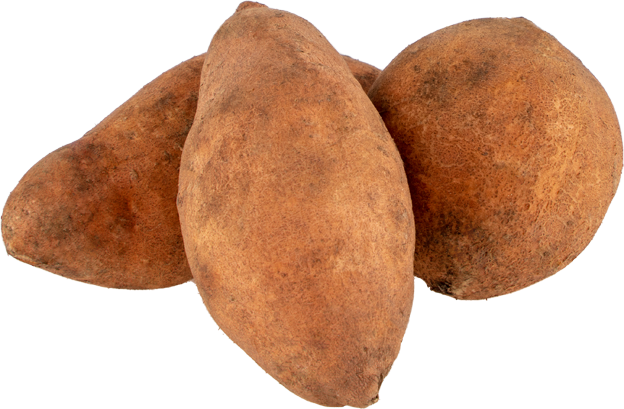 Bio Süßkartoffeln