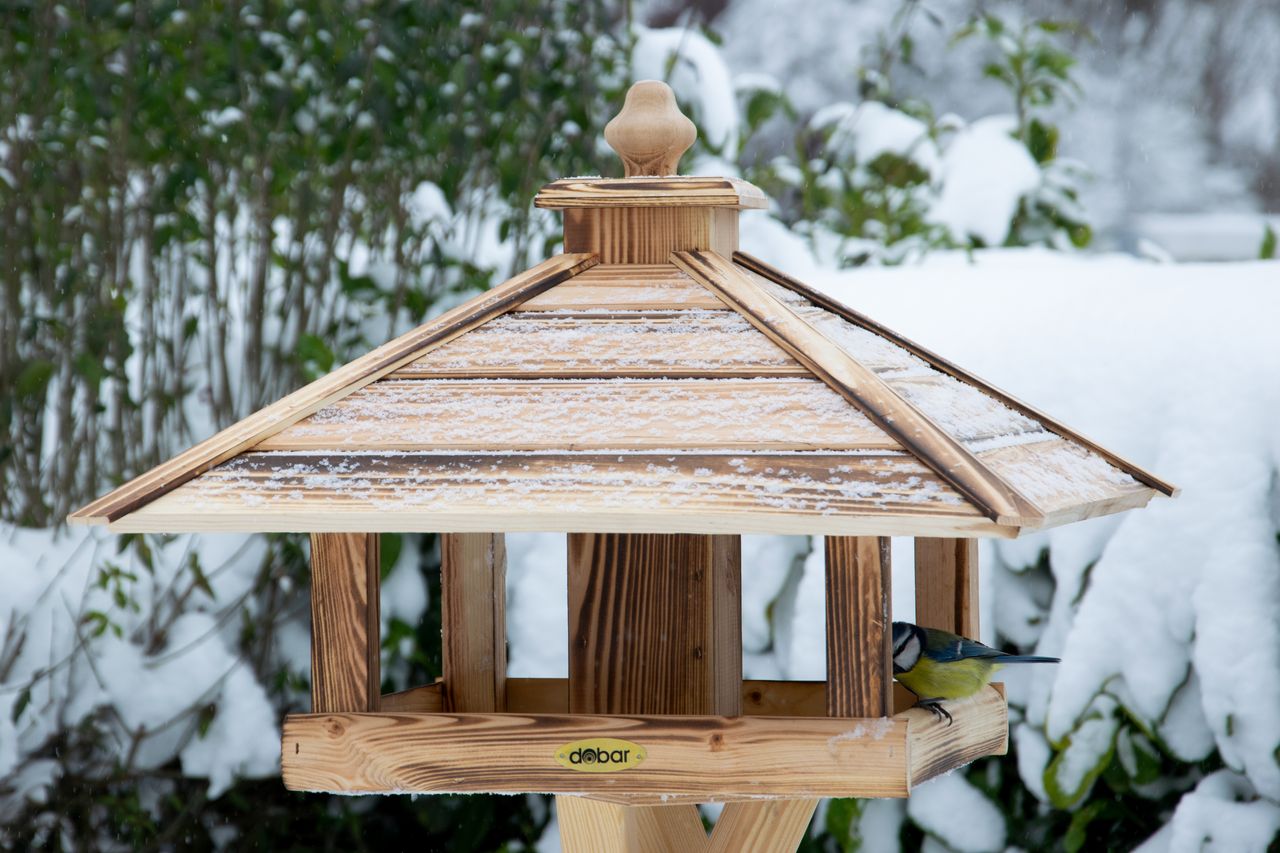 dobar Vogelhaus quadratisch zum Aufstellen, geflammt
