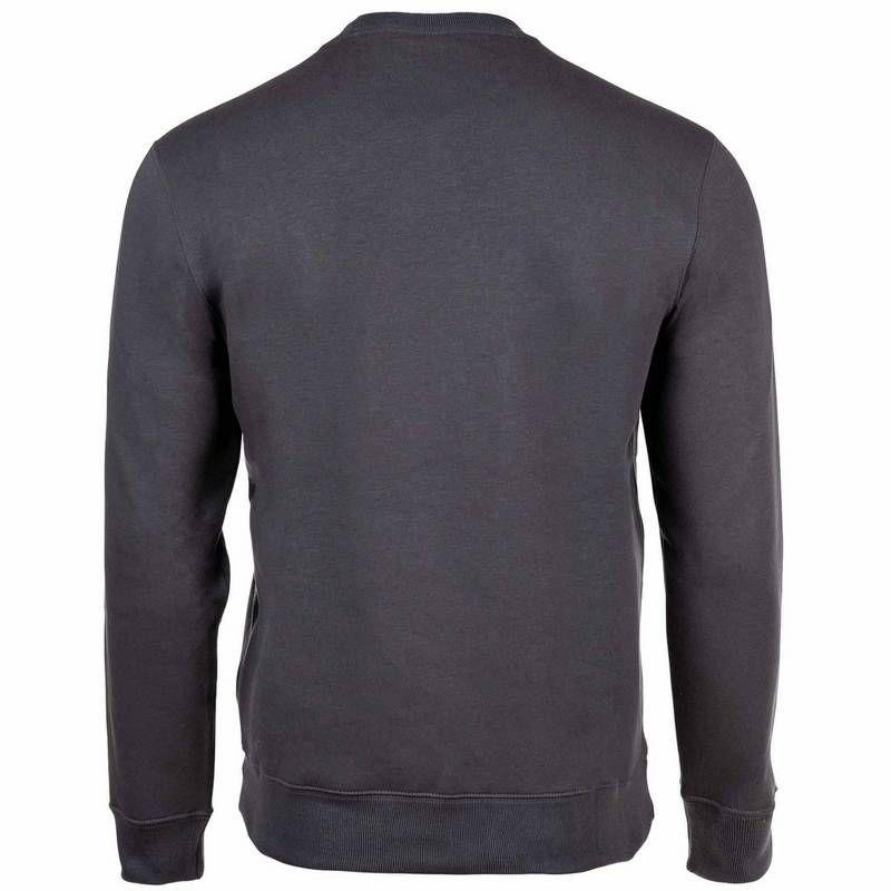 CHAMPION Sweatshirt Sweatshirt Herren