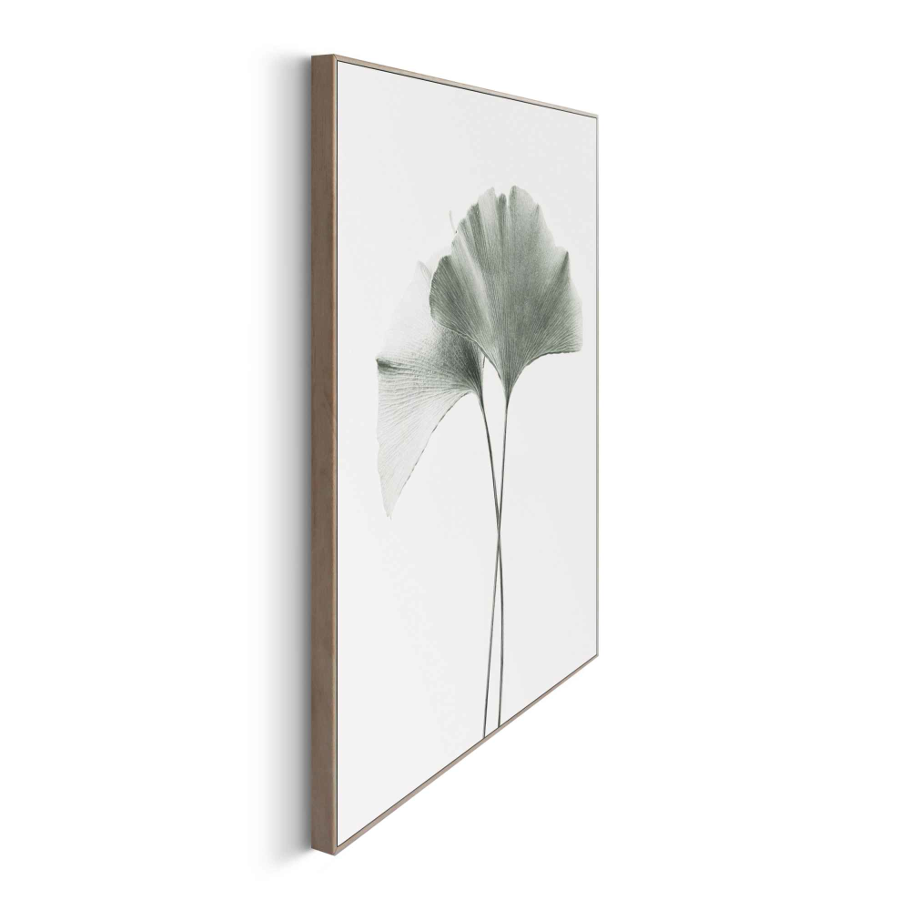 Rahmenbild Gingko