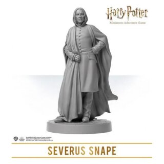 Harry Potter Miniatures Adventure Game: Wizarding Duels - Servants of the Dark Lord Expansion (EN)