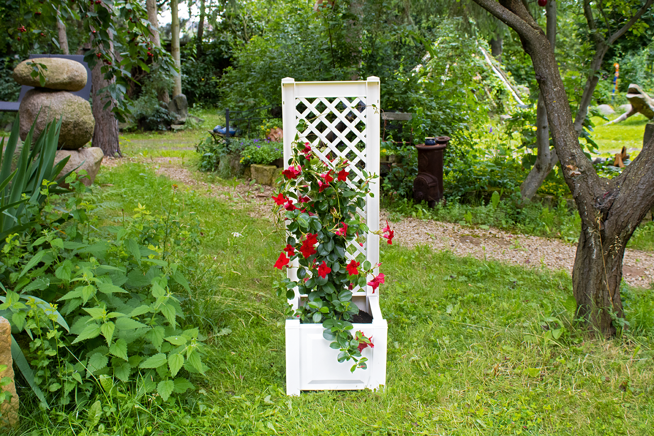 KHW KHW Pflanzkasten mit Spalier 43 cm, weiß - 2er Set