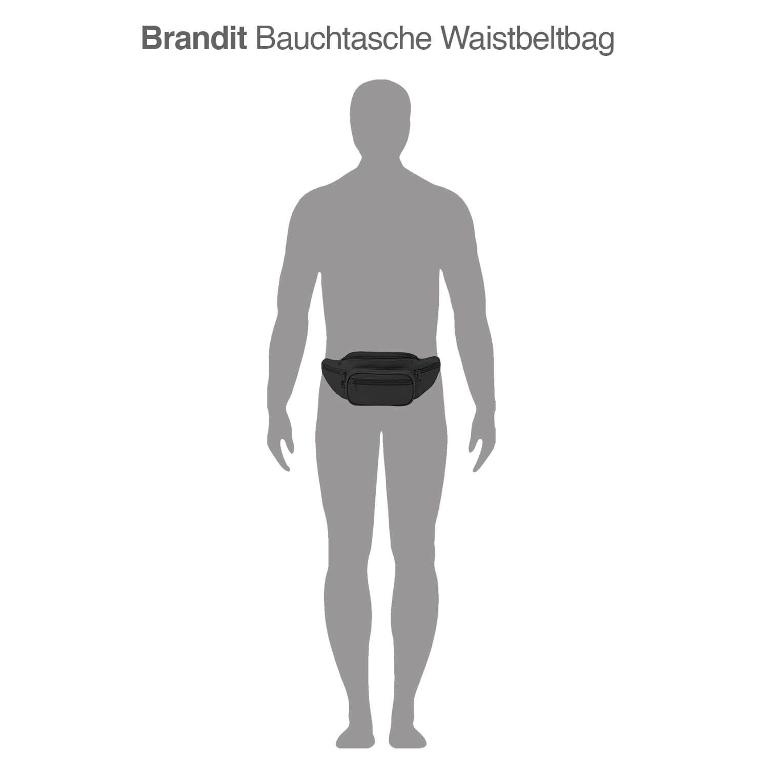 Bauchtasche Waistbeltbag