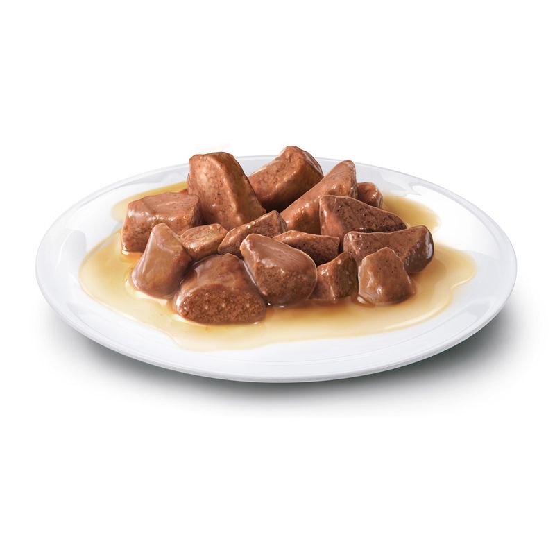 400 g Concept for Life Trockenfutter + 12 x 85 g Nassfutter in Soße zu TOP-Preisen