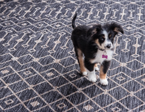 MyFlair Carpet 