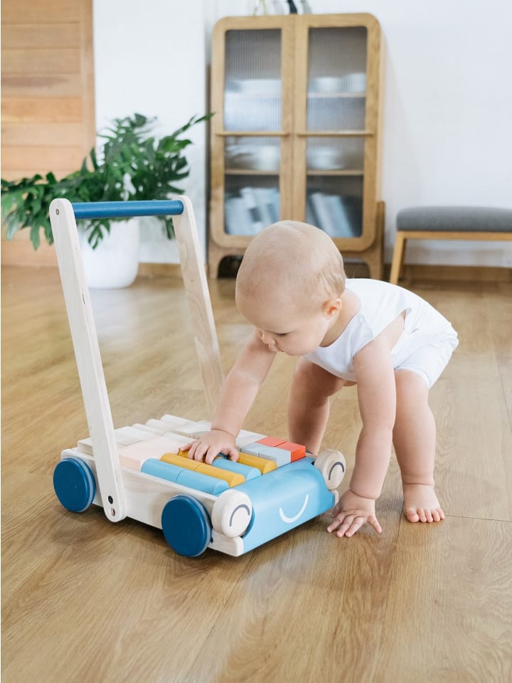 Plan Toys Lauflernwagen Orchard ab 10 Monate günstig kaufen onesize