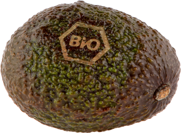 Bio Avocado