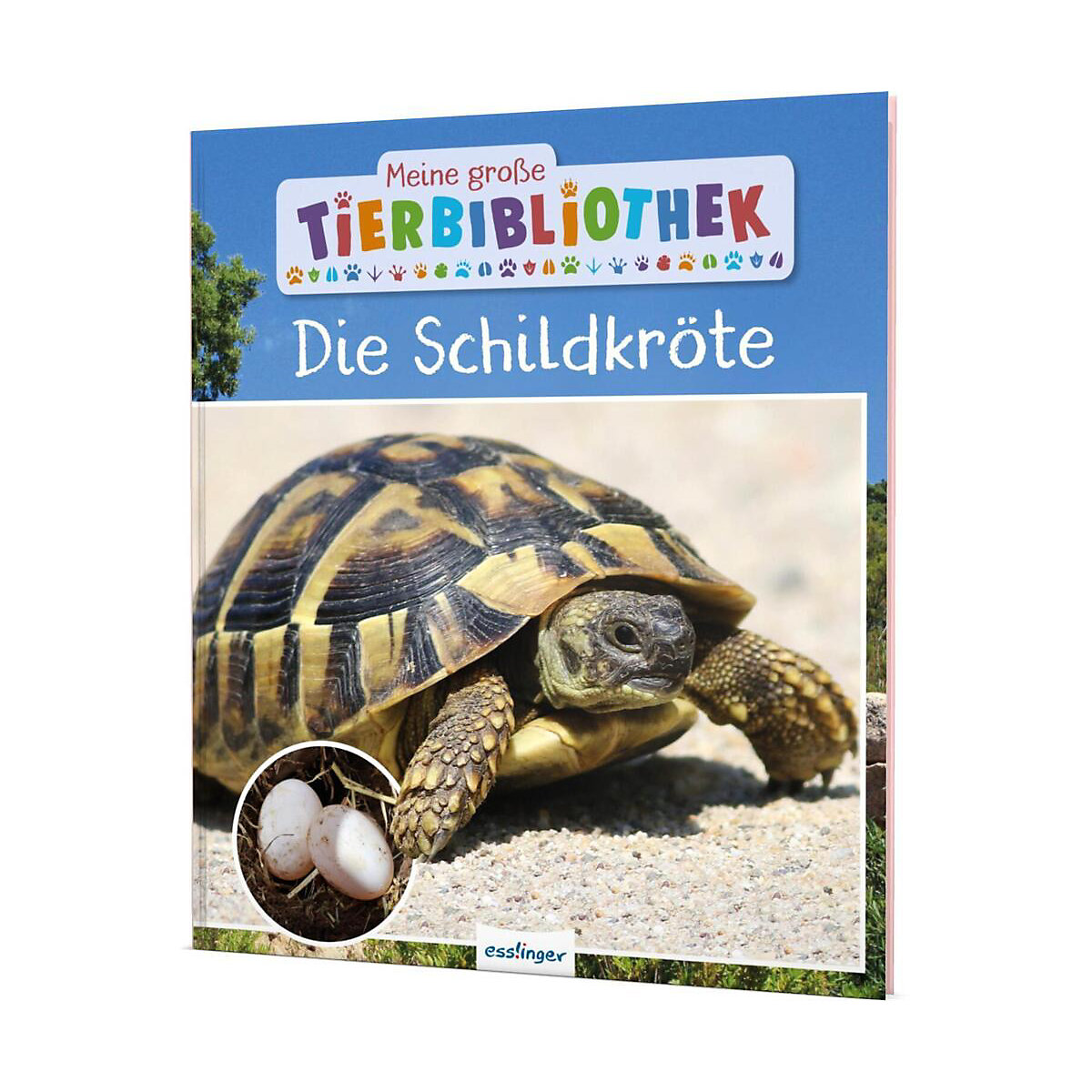 Meine große Tierbibliothek: Die Schildkröte