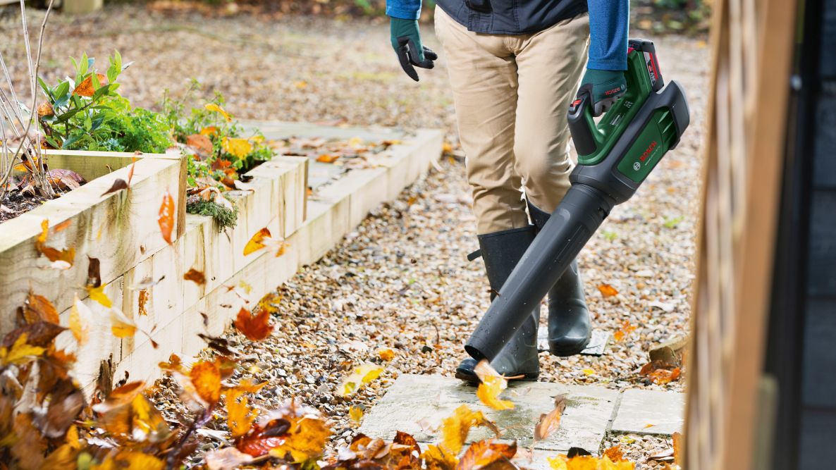 Bosch Green 06008C6000 AdvancedLeafBlower 36V-750 akumulatorski puhalnik listja 1x 2,0 Ah in polnilnik v škatli