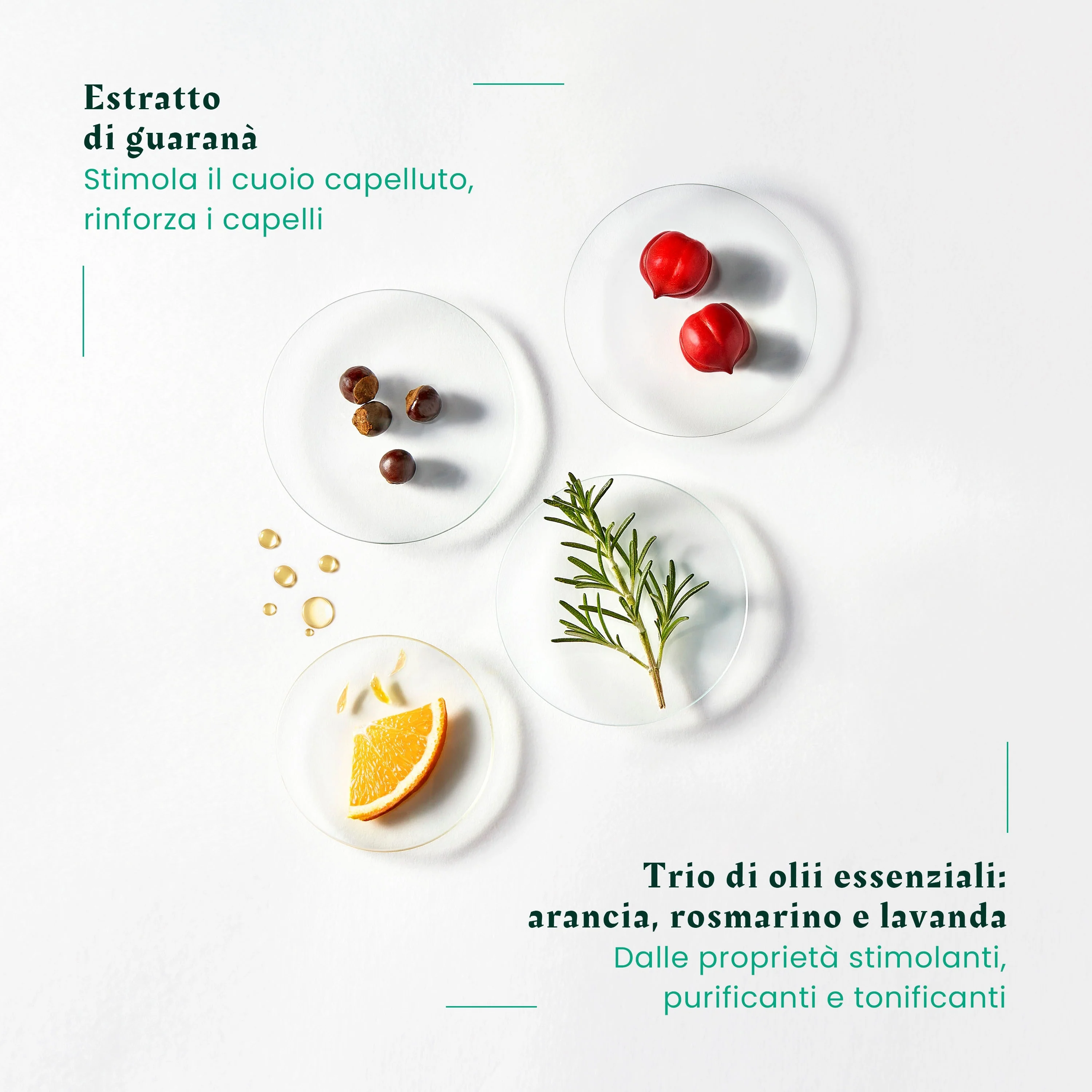 Forticea Shampooing Fortifiant Revitalisant - vahvistava shampoo, usein käytettävä shampoo