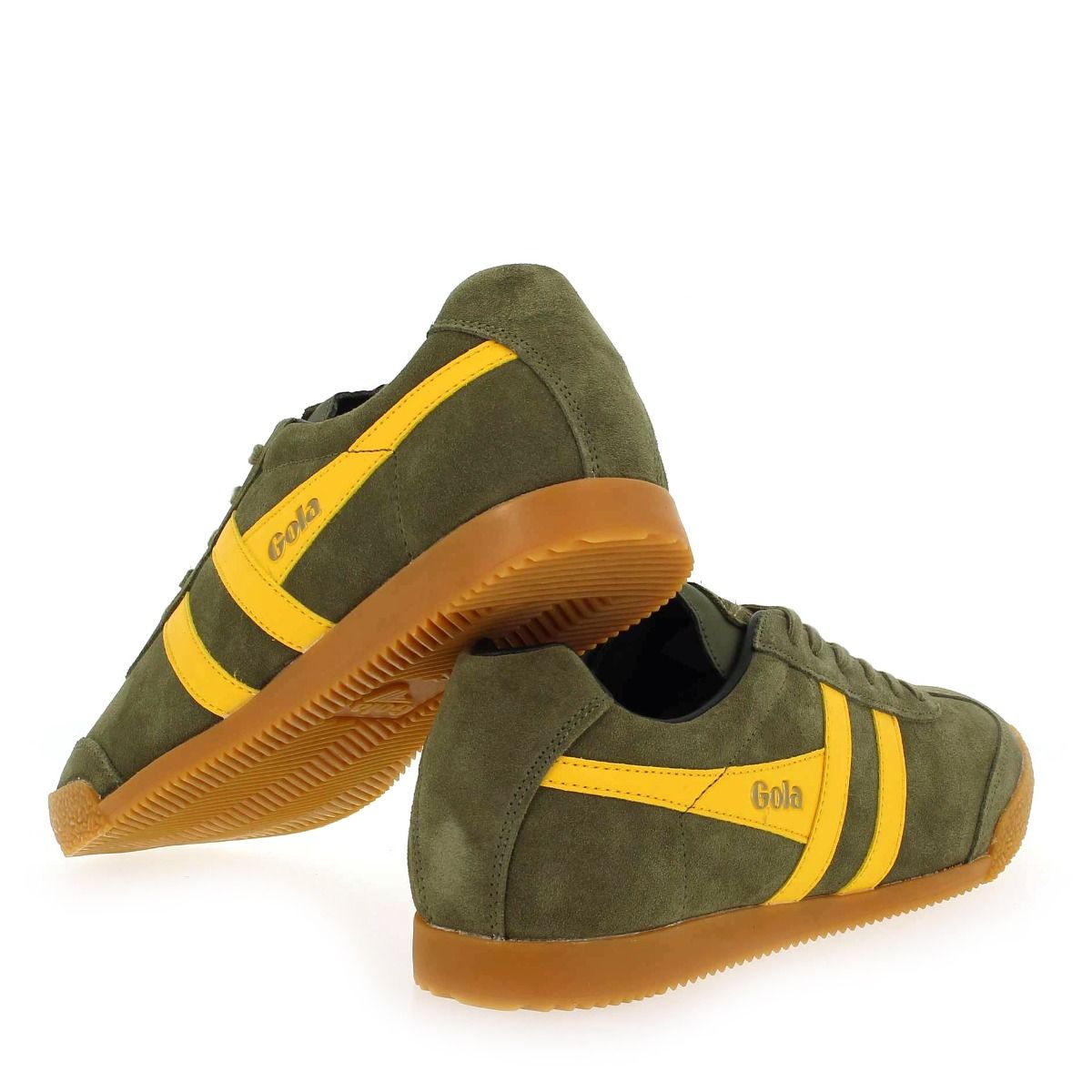 Gola  HARRIER GOLA CMA192 - kaki jaune