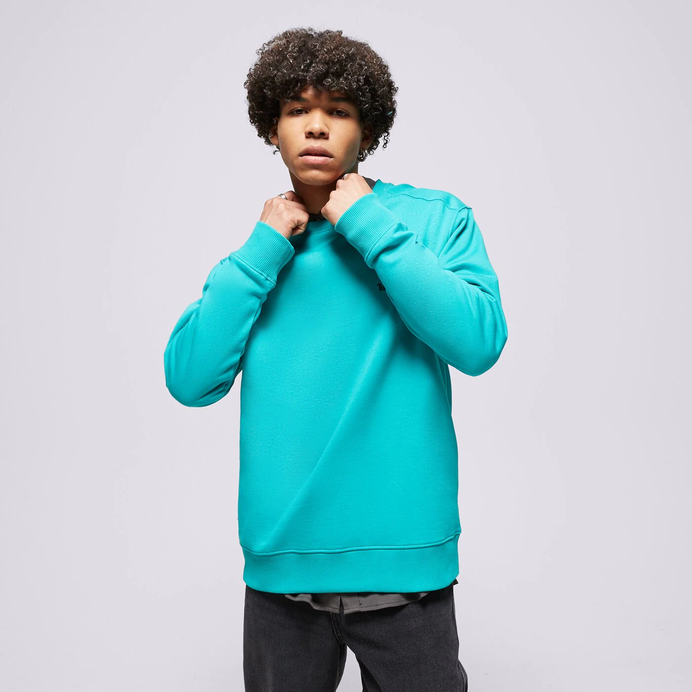 TIMBERLAND SWEATSHIRT SMALL LOGO PRINT Blau