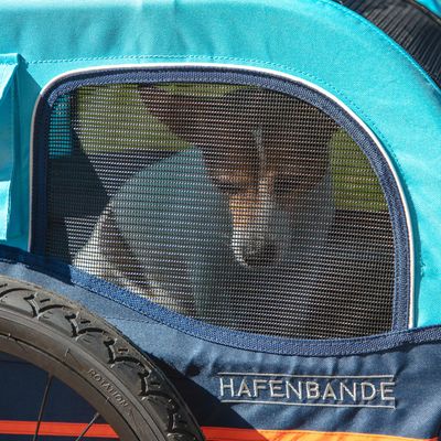 HAFENBANDE Fahrradanhänger Cabby S inkl. zwei Kupplungen