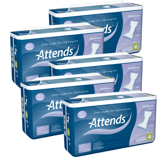 ATTENDS Contours Regular 4 Vorlage  5X42 St