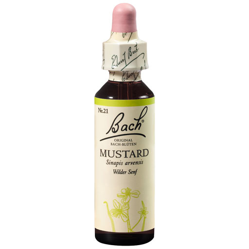 BACHBLÜTEN Mustard Tropfen  20 ml  Tropfen