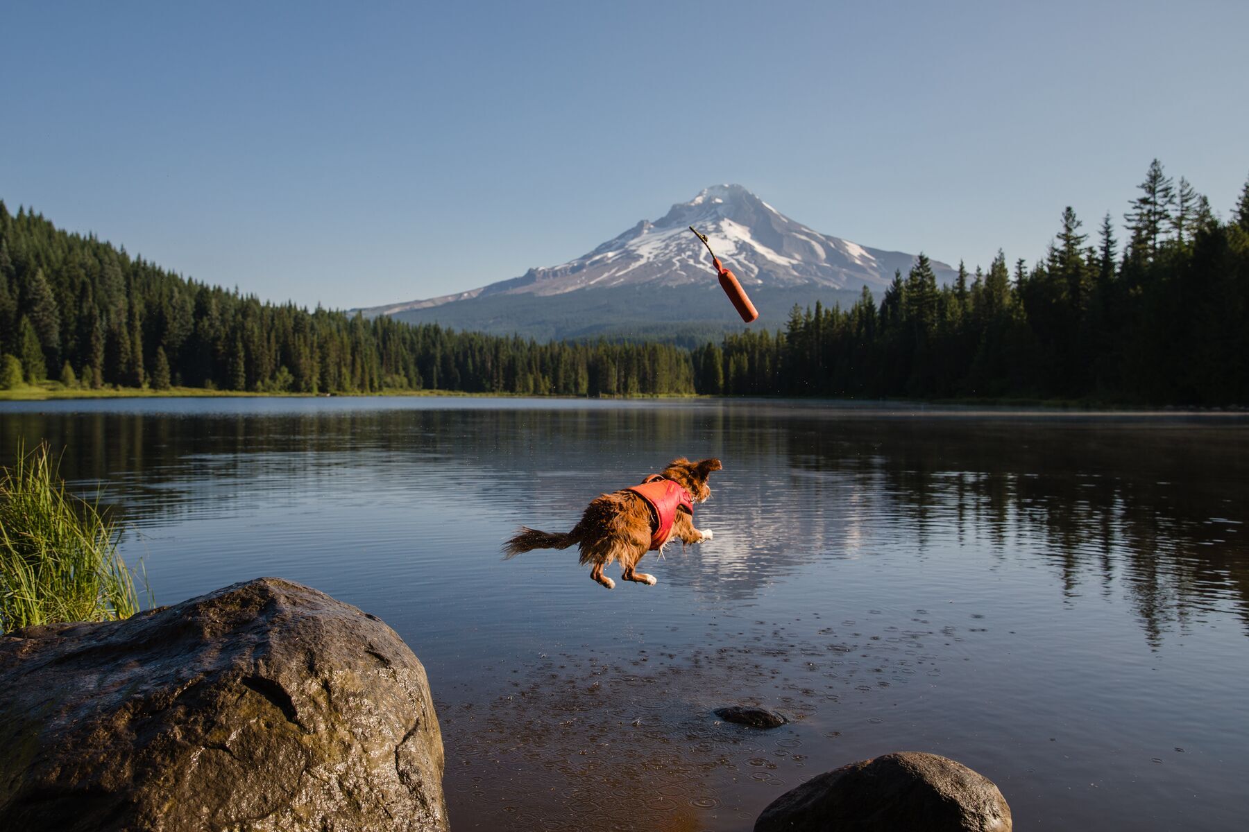 Ruffwear Wasserspielzeug Ruffwear Lunker™ Spielzeug orange