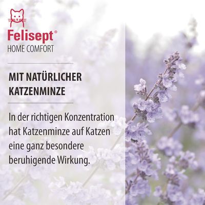 Felisept Home Comfort Beruhigungsspray