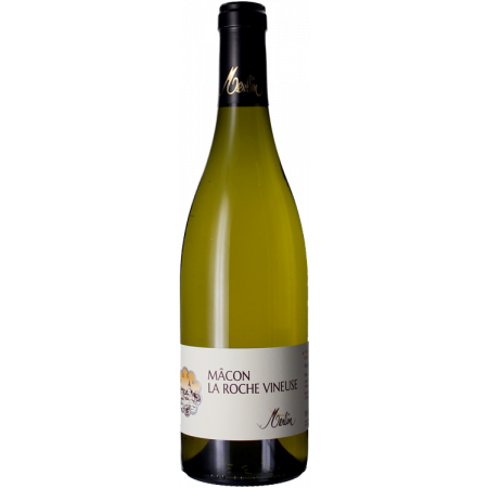 MACON LA ROCHE VINEUSE 2020 - OLIVIER MERLIN