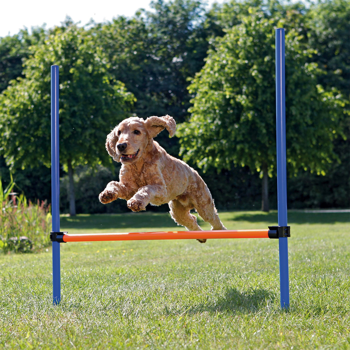 Trixie Dog Activity Agility Set vierteilig kaufen