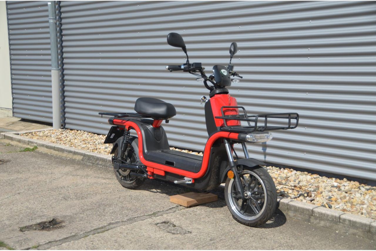 ARI Motors ARI 45 Elektroroller Lastenmoped E-Roller inkl. Speditionskosten & vor Ort Einweisung