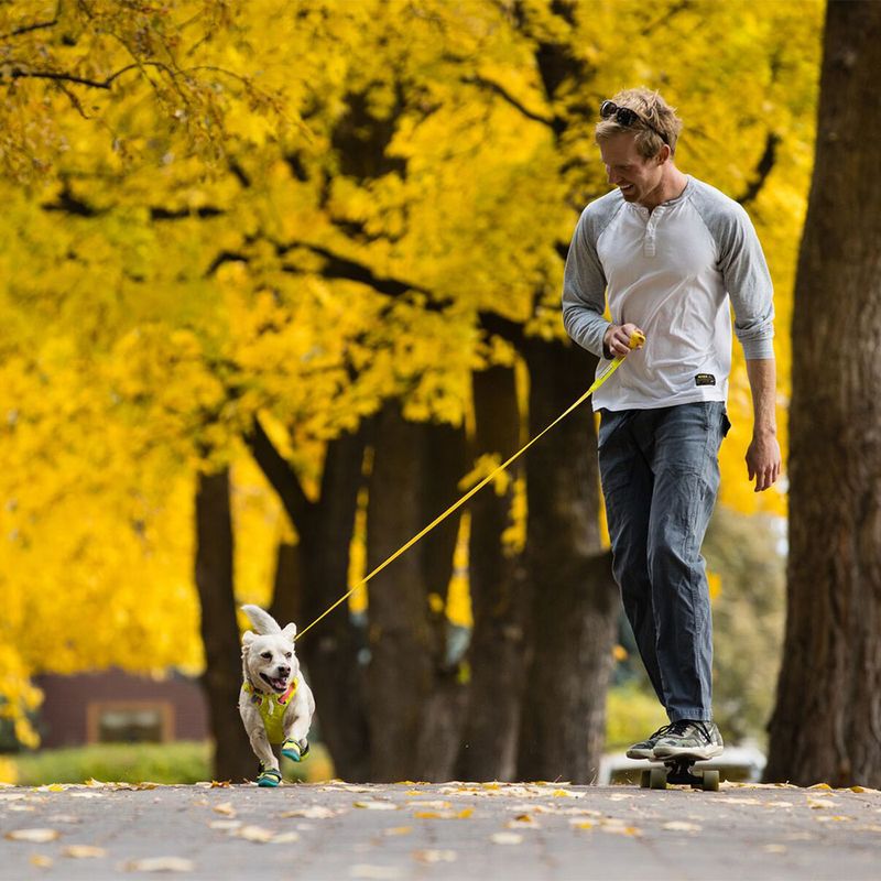 RUFFWEAR Hi & Light Leash zu TOP-Preisen