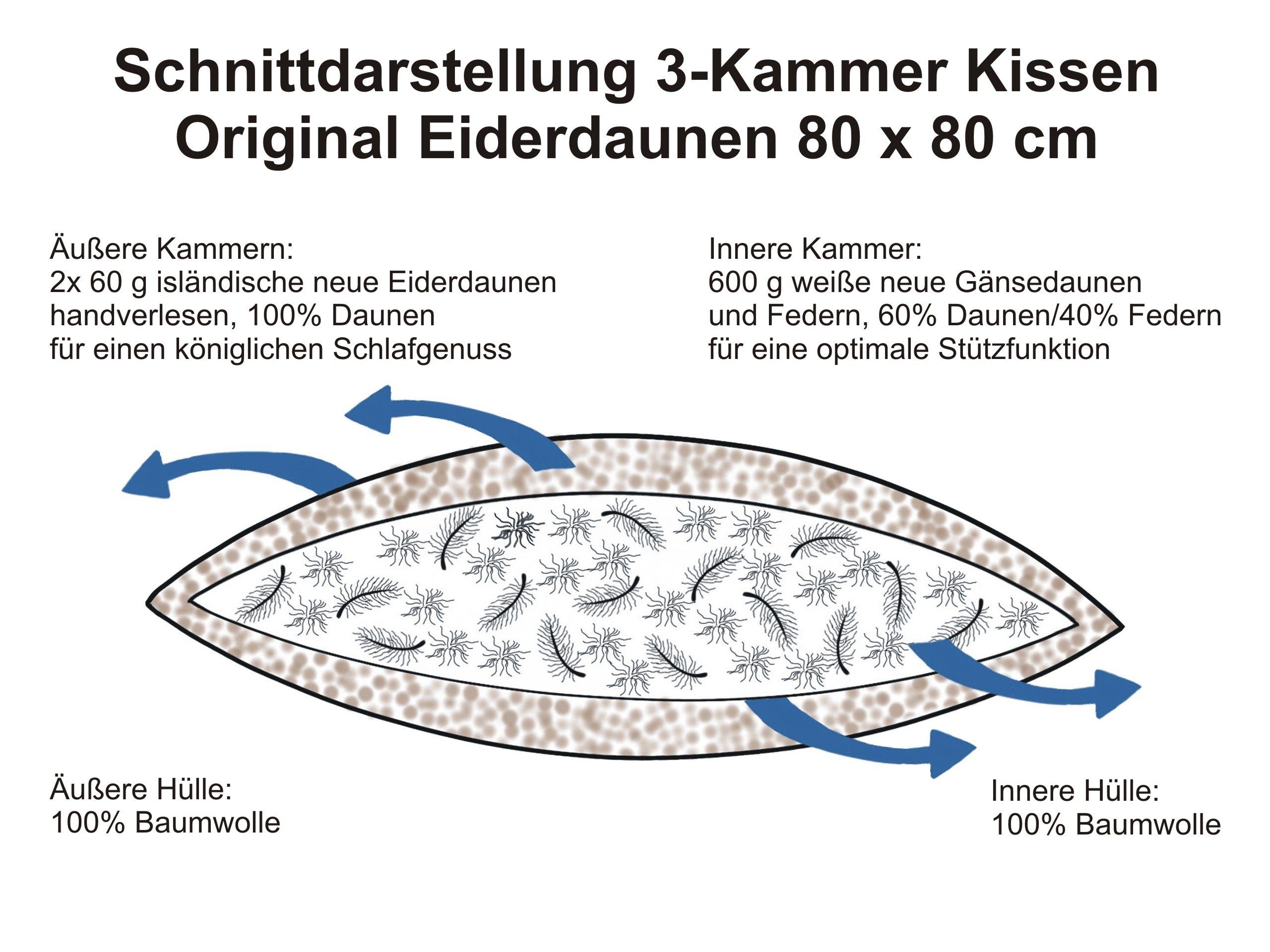 Daunenkissen ORIGINAL EIDERDAUNEN 3-Kammer-Kissen, Königin der Nacht, Füllung: isländische neue Eiderdaunen (außen), Seitenschläfer, Rückenschläfer, für Allergiker geeignet