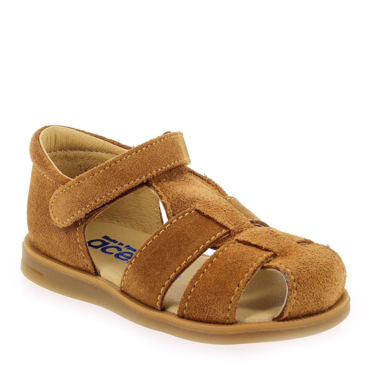 Acebos  1235 - Camel