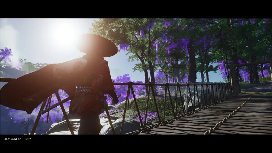 Ghost of Tsushima (Director's Cut)