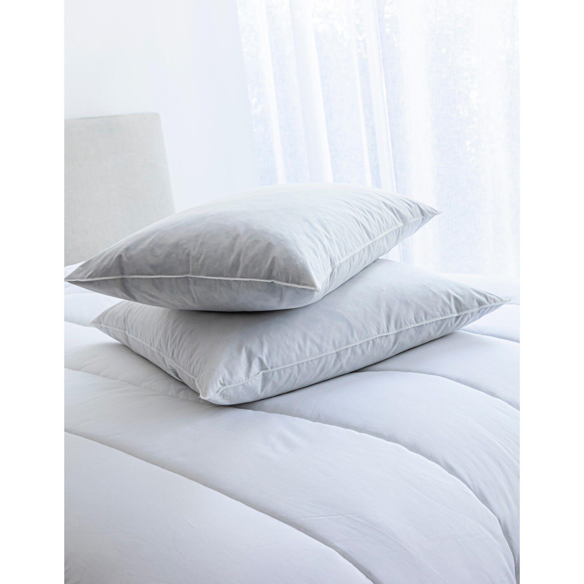 Oreiller plumes en lot de 2